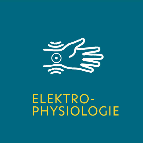 button_elektrophysiologie